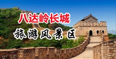 日女人的逼网站中国北京-八达岭长城旅游风景区